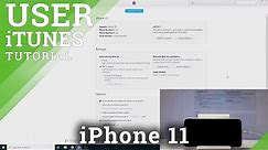 How to Restore Data in iPhone 11 - How to Use iTunes Restore