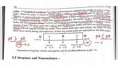 Amino Acids , Peptides , Proteins and Nucleic Acids part 4 Electrophorosis of amino acid