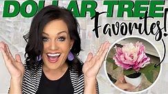 10 Things You Should Always Buy at DOLLAR TREE!