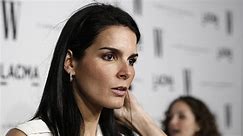 Angie Harmon "Traumatized" After InstaCart Driver Shot Her Dog.