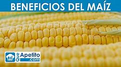 8 propiedades y beneficios del maíz | QueApetito