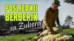 Crnom Gorom: Ručno šišanje ovaca - POSLJEDNJI BERBERIN SA ŽUBERA HD - engl. sub