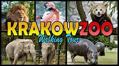 KRAKÓW ZOO Walking Tour - Kraków Poland (4K)