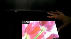 Sharp IGZO LCD TFT Technology