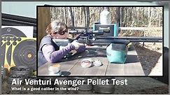 AIR VENTURI AVENGER – What .25 Caliber Pellet Is Most Suitable for Windy Conditions?