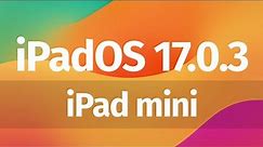 How to Update iPad mini to iOS 17.0.3 | iPadOS 17.0.3