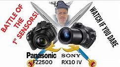 Sony RX10IV vs Panasonic FZ2500- The best superzoom is.......