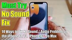 14 Ways to Fix No Sound / Audio Problem on the iPhone 12/iPhone 13 / iPhone 13 Pro Max