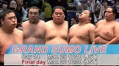 March GRAND SUMO LIVE DAY 14