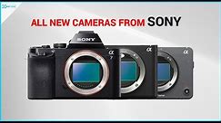 Sony is Going to Blow Up With All These New Cameras in This Year!