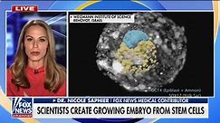 Scientists have created an embryo from stem cells: Dr. Nicole Saphier