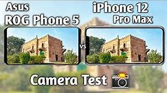 Asus ROG Phone 5 vs iPhone 12 Pro Max Camera Test Comparison