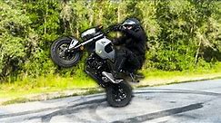 How To WHEELIE a Grom (From A Beginners Perspective)
