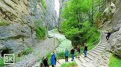 Aareschlucht The Most Beautiful Gorge in Meiringen Switzerland 8K