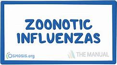 Zoonotic influenzas - causes, symptoms, diagnosis, treatment, pathology