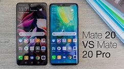 Huawei Mate 20 vs Mate 20 Pro