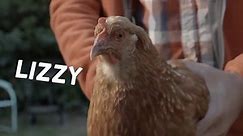 LG G2 Funny Chicken Commercial: The Most Extreme Camera Ever - video Dailymotion