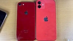 iPhone 12 Vs iPhone 8 Size Comparison!
