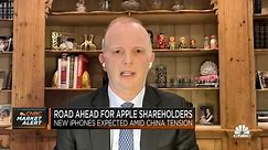 Apple's stock is attractive at these levels as the ecosystem remains healthy: Neuberger's Flax