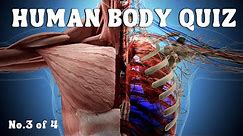 Can You Pass This Human Body Quiz? Quiz No.3 of 4