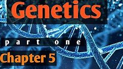 Genetics chapter five, DNA, RNA, DNA replication, Initiation, elongation, termination, Remedial Bio
