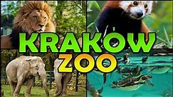 KRAKÓW ZOO - Ogród Zoologiczny w Krakowie - Poland (4K)