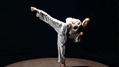 Taekwondo basic kicks