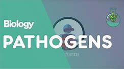 What Are Pathogens? | Health | Biology | FuseSchool