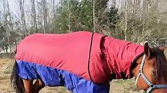 Surfante Waterproof Winter Horse Blanket,Neck Cover Belly Wrap,75in(Red Blue)