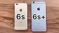 iPhone 6s vs iPhone 6s Plus in 2022