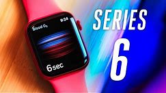Apple Watch Series 6 review: a minute update