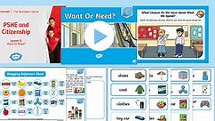 PSHE and Citizenship KS1 Money Matters Lesson 5: Want or Need? Lesson Pack