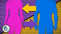 Hormones and Gender Transition