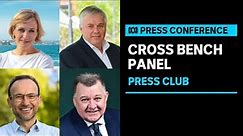 IN FULL: Panel with crossbenchers Zali Steggall, Adam Bandt, Rex Patrick and Craig Kelly | ABC News