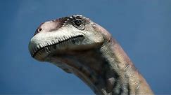 Meet "Titanosaur," the Largest Dinosaur Ever 360° I NOVA I PBS
