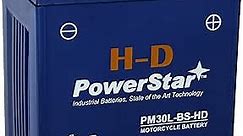 PowerStar PM30L-BS-HD Replacement Yuasa YIX30L Motorcycle Battery - Factory Sealed - Maintenance Free - High Performance for 2015 Harley Street Glide Special Battery 66010-97a/66010-97b/66010-97c
