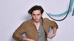 Brooklyn Beckham faces online hate and becomes accustomed to trolling