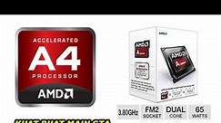AMD A4 7300 APU Dual Core Radeon CPU Processor Unboxing