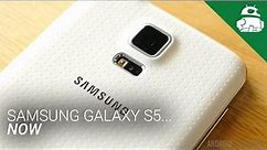 The Samsung Galaxy S5... Now