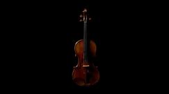 Violin - 1713 Stradivari, 'Baron d'Assignies'