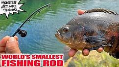 The WORLD'S SMALLEST FISHING ROD Catches Fish! Tiger Oscar