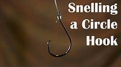 How to Tie a Snell Knot on a Circle Hook