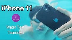 iPhone 11 Waterproof Test！ IPhone 11 waterproof performance unexpectedly?!
