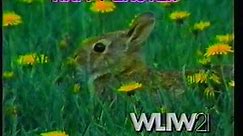 WLIW 21 Commercials on April 19 and May 24, 1992 (60fps)