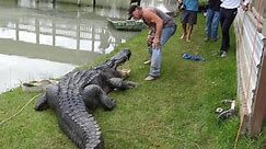 This Alligator Is the Largest Ever Caught Alive in Texas, Wildlife Refuge Says