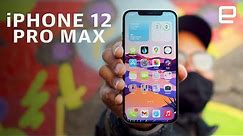 Apple iPhone 12 Pro Max review: The true Pro arrives?