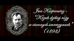Jan Kasprowicz - "KRZAK DZIKIEJ RÓŻY W CIEMNYCH SMRECZYNACH"
