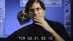 The Steve Jobs 95 Interview unabridged
