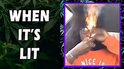 WEED MEMES & Fail Compilation [#25] - Fatally Stoned