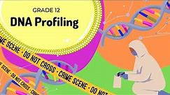 DNA profiling | Reading DNA profiles